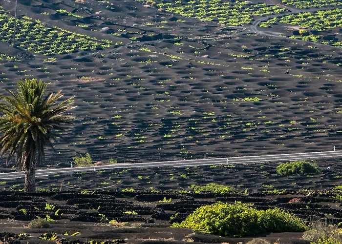 Home2book Stunning Terrace & Bbq House Playa Honda Prázdninový dům