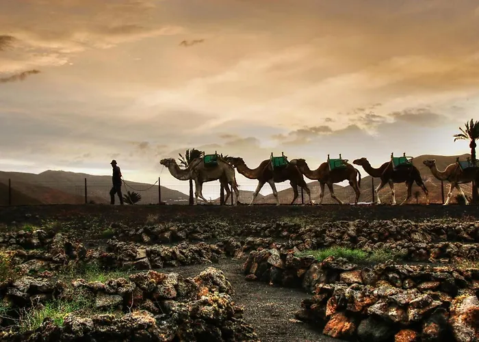 Home2book Stunning Terrace & Bbq House Playa Honda Prázdninový dům *